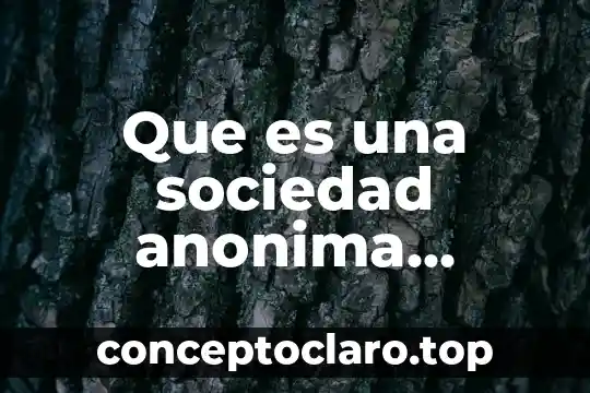 Sociedad anónima por qué es útil 3 Que es una sociedad anonima ejemplo