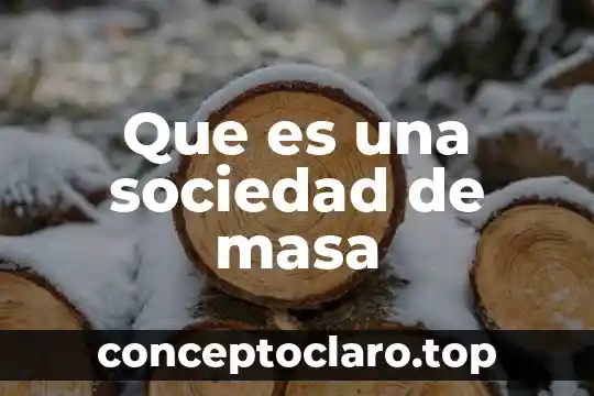 Que es una sociedad de masa