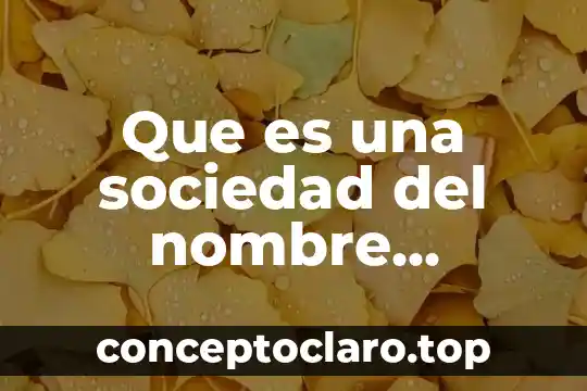 Que es lo peor de la sociedad americana 5 Que es una sociedad del nombre colectivo