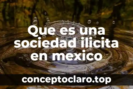 Que es una sociedad mercantil l los principales tipos slideshare 3 Que es una sociedad ilicita en mexico