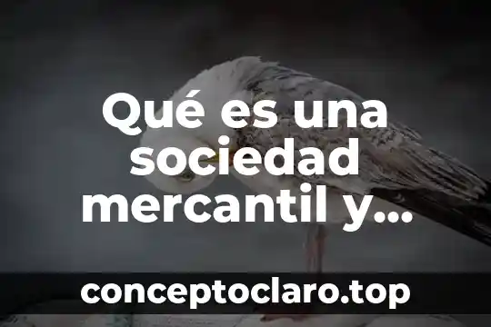Qué es una sociedad mercantil y una sociedad civil