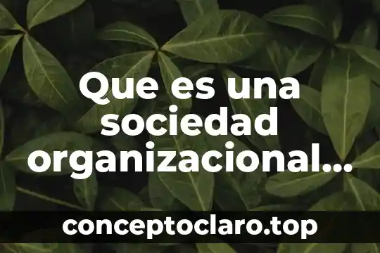 Que es una sociedad organizacional dinamica de sistemas