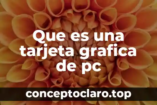 Que es una tarjeta grafica de pc