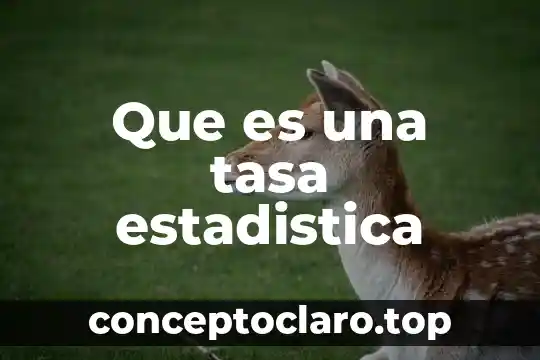 Que es una tasa estadistica