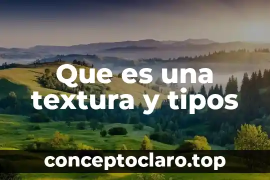 Que es una textura y tipos