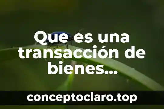 Que es una transacción de bienes servicios e ingresos