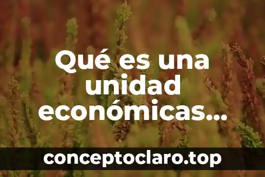Qué es una unidad económicas extranjeras sin personalidad jurídica