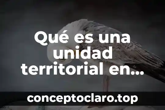 Que es la ley general de asentamiento urbano y territorial 3 Qué es una unidad territorial en Colombia