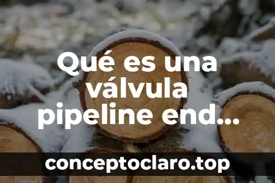 Qué es una válvula PSV y su función 3 Qué es una válvula pipeline end termination