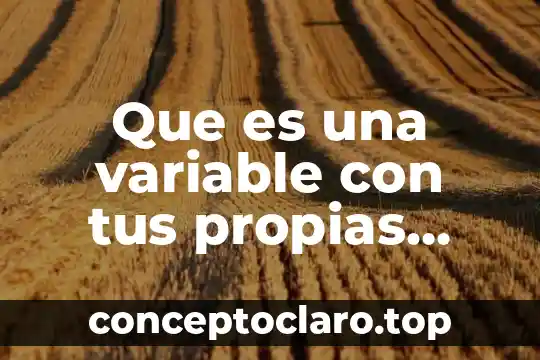 Que es una variable con tus propias palabras