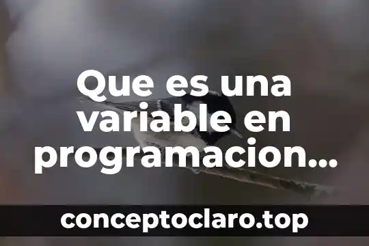 Que es una variable en programacion concepto