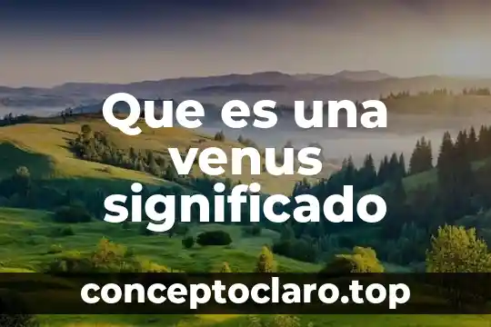 Que es una grafica significado diagrama 7 Que es una venus significado