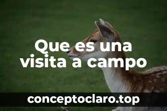 Que es una visita a campo