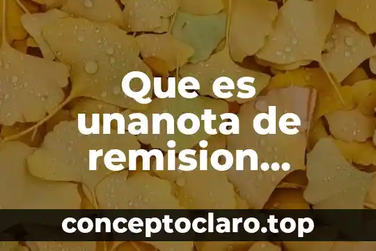 Que es unanota de remision formato