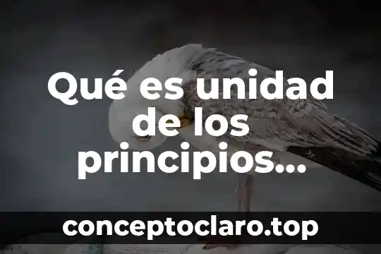 Qué es la electricidad estática principios 5 Qué es unidad de los principios fundamentales