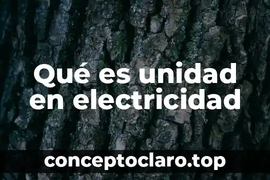 Qué es la electricidad y el electromagnetismo 5 Qué es unidad en electricidad