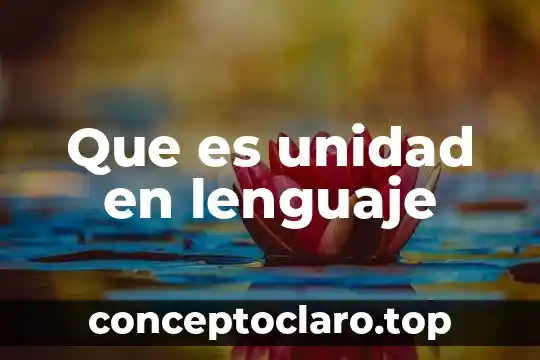 Que es unidad en lenguaje