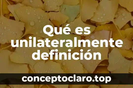 Qué es ledo definición 7 Qué es unilateralmente definición
