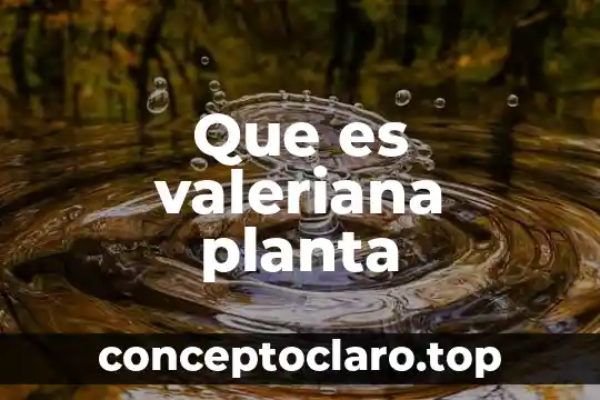 Que es valeriana planta