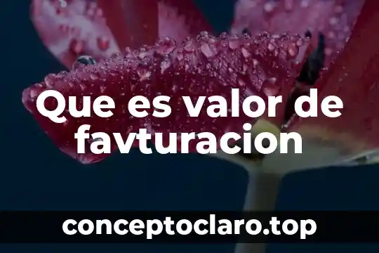 Que es valor de favturacion