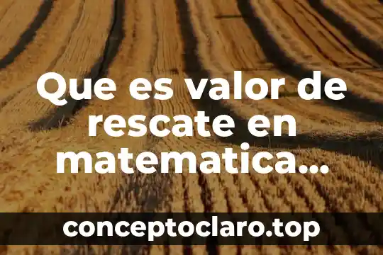 Que es un saldo financiera en contabilidad 3 Que es valor de rescate en matematica financiera