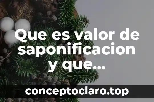 Qué es lo que determina la energía interna 5 Que es valor de saponificacion y que determina