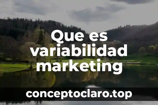 Que es variabilidad marketing