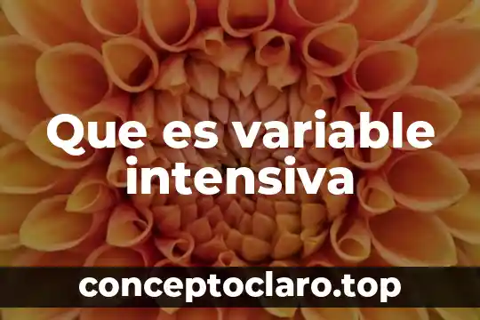 Que es variable intensiva