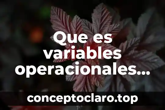 Qué es una reseña tipos 3 Que es variables operacionales y sus tipos