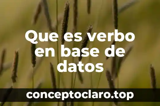 Que es ser latino en verbo pervetido 6 Que es verbo en base de datos