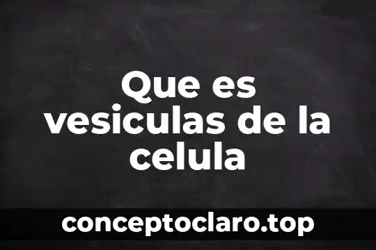 Que es vesiculas de la celula