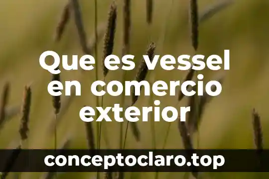Que es vessel en comercio exterior