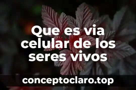 Que es via celular de los seres vivos