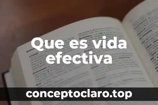 Que es vida efectiva