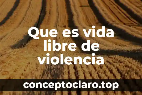 Que es vida libre de violencia