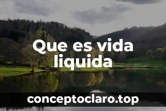 Que es vida liquida