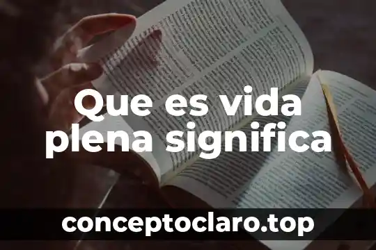 Que es significa gestionar sistemas expertos 5 Que es vida plena significa