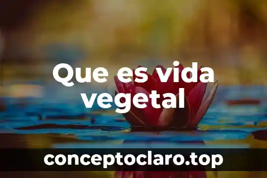 Que es vida vegetal