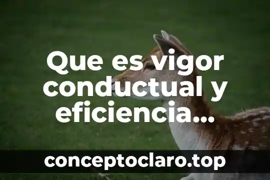 Qué es el conductismo en la psicología de Watson 6 Que es vigor conductual y eficiencia según watson