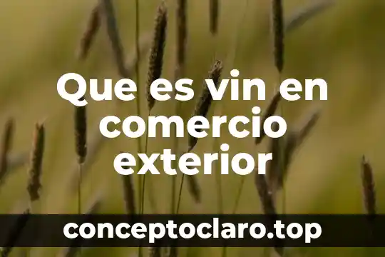Que es vin en comercio exterior