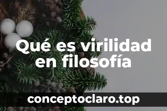 Qué es virilidad en filosofía