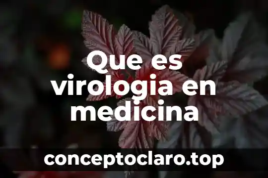 Que es un principio medicina 3 Que es virologia en medicina