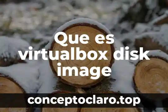Que es maltrato animal introduccion 6 Que es virtualbox disk image