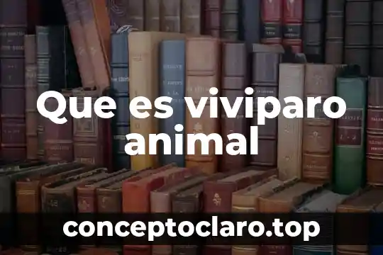 Que es viviparo animal