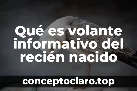Que es un texto informativo la feria 3 Qué es volante informativo del recién nacido