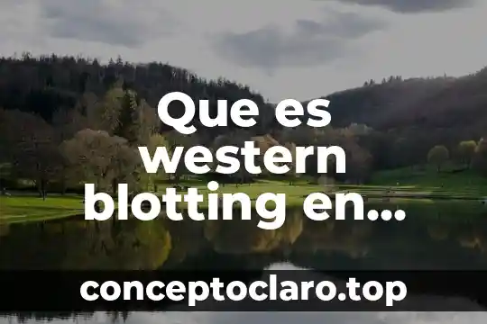 Que es western blotting en biologia