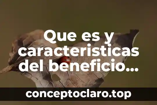 Que es el sistema de beneficio definido 4 Que es y caracteristicas del beneficio del mineral