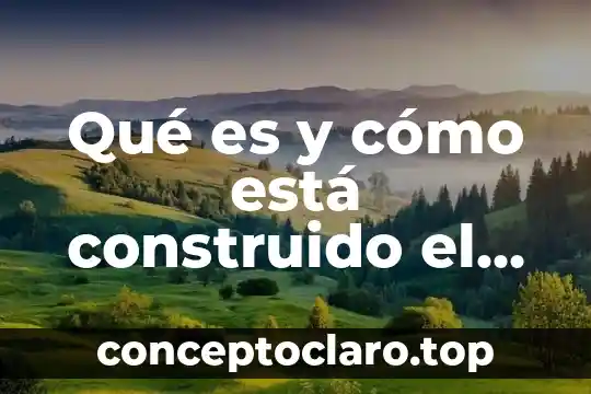 Qué es y cómo está construido el sistema nervioso periférico