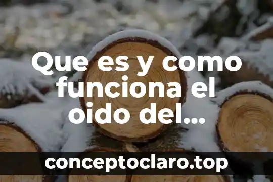 Que es y como funciona el oido del cuerpo humano