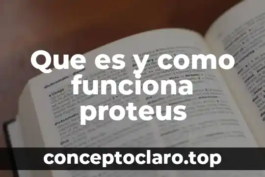 Que es la deep web en realidad y como funciona 6 Que es y como funciona proteus